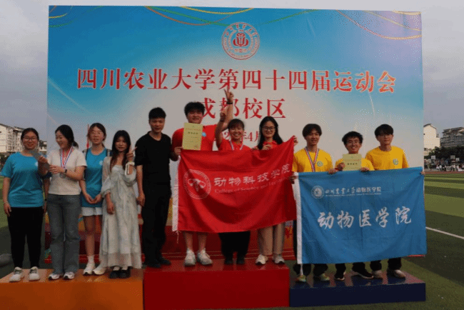 Bevictor伟德超级联赛