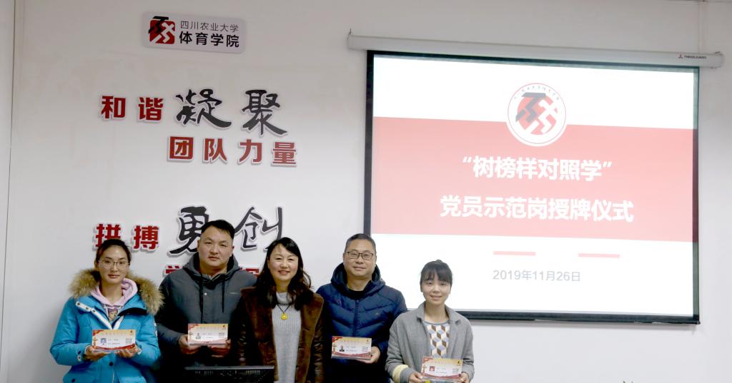 Bevictor伟德备用网址