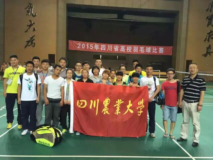 Bevictor伟德欧洲杯图片