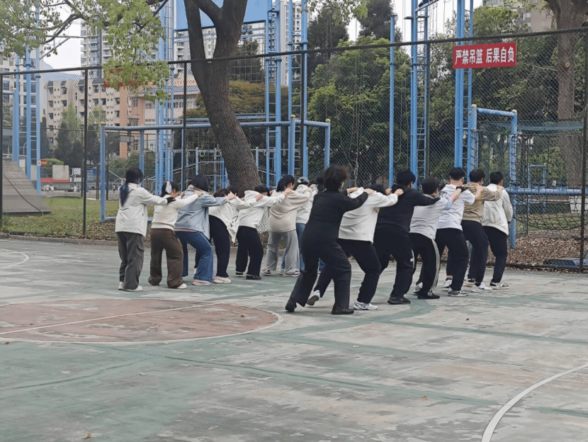 Bevictor伟德直播