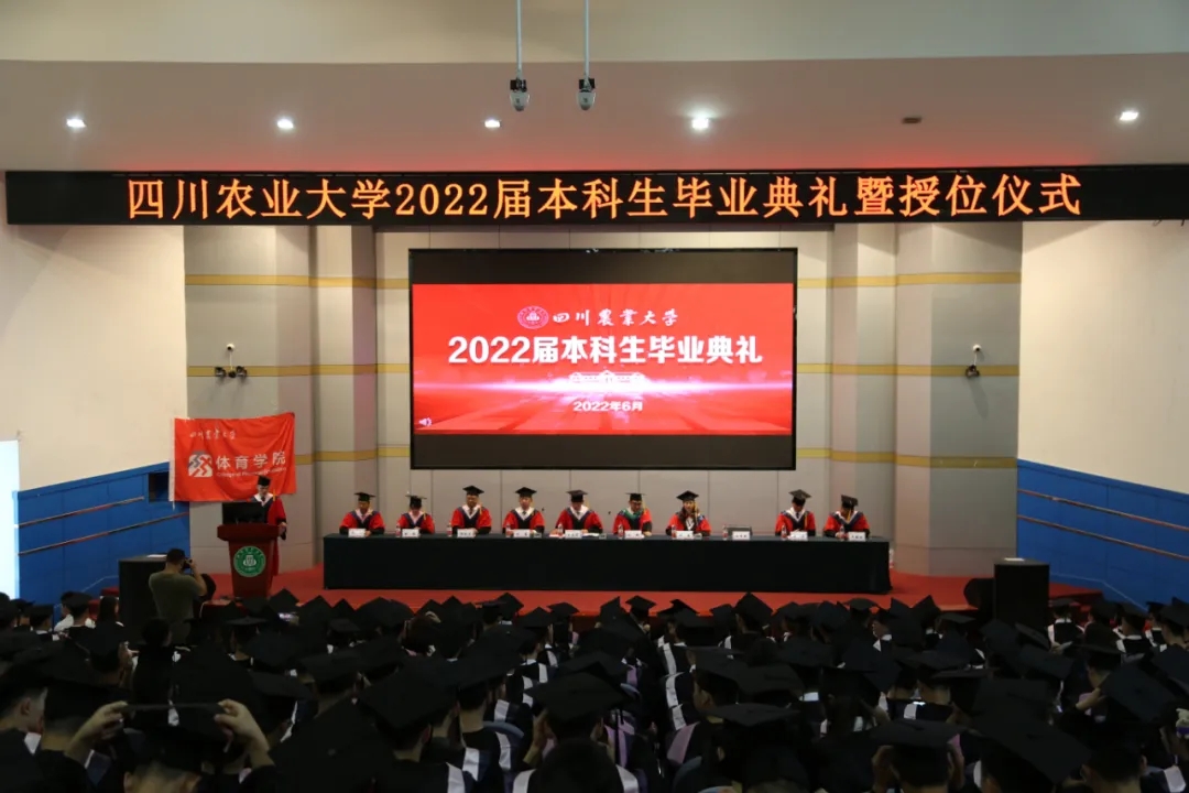 Bevictor伟德超级联赛