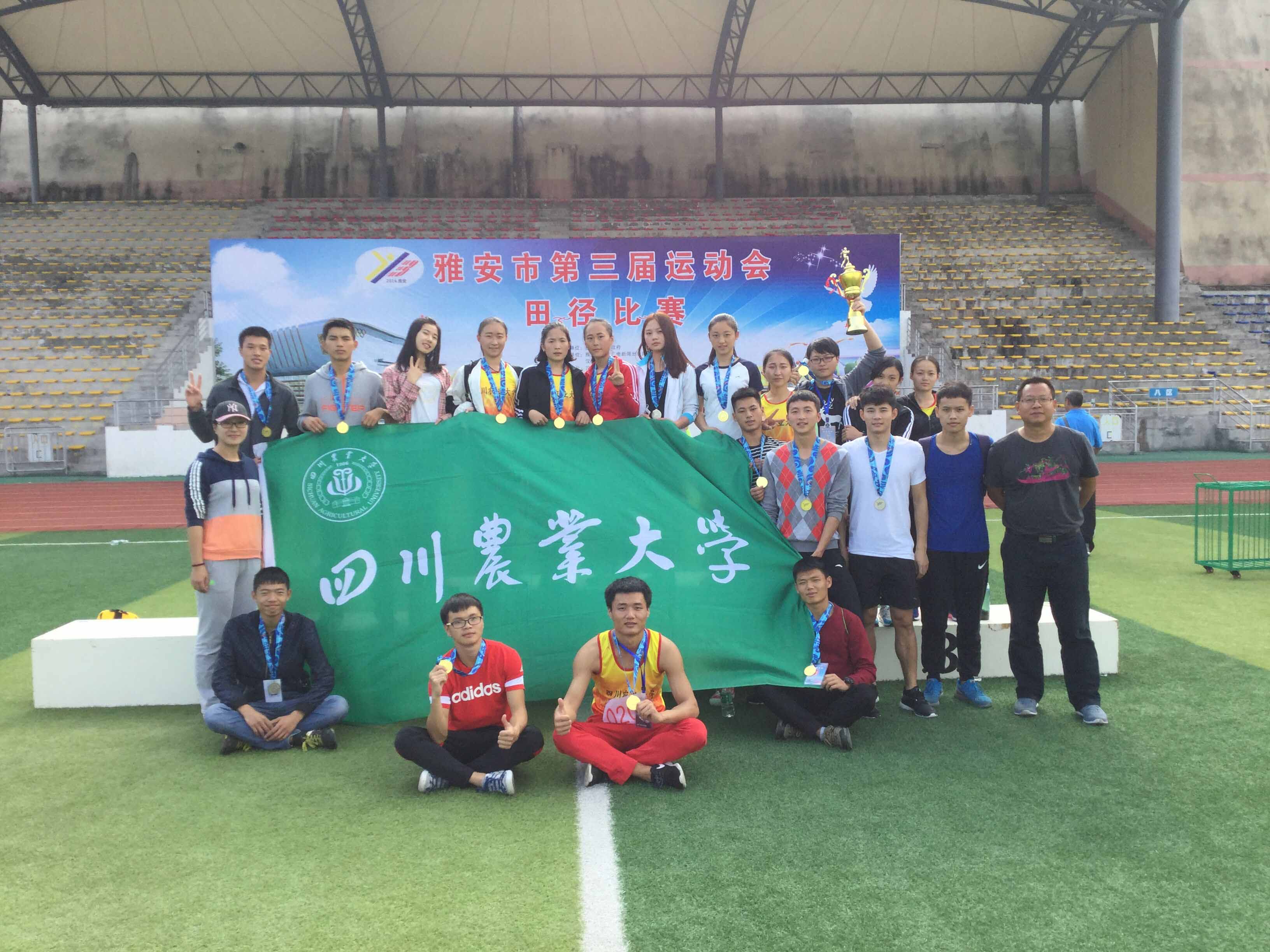 Bevictor伟德加速节点图片