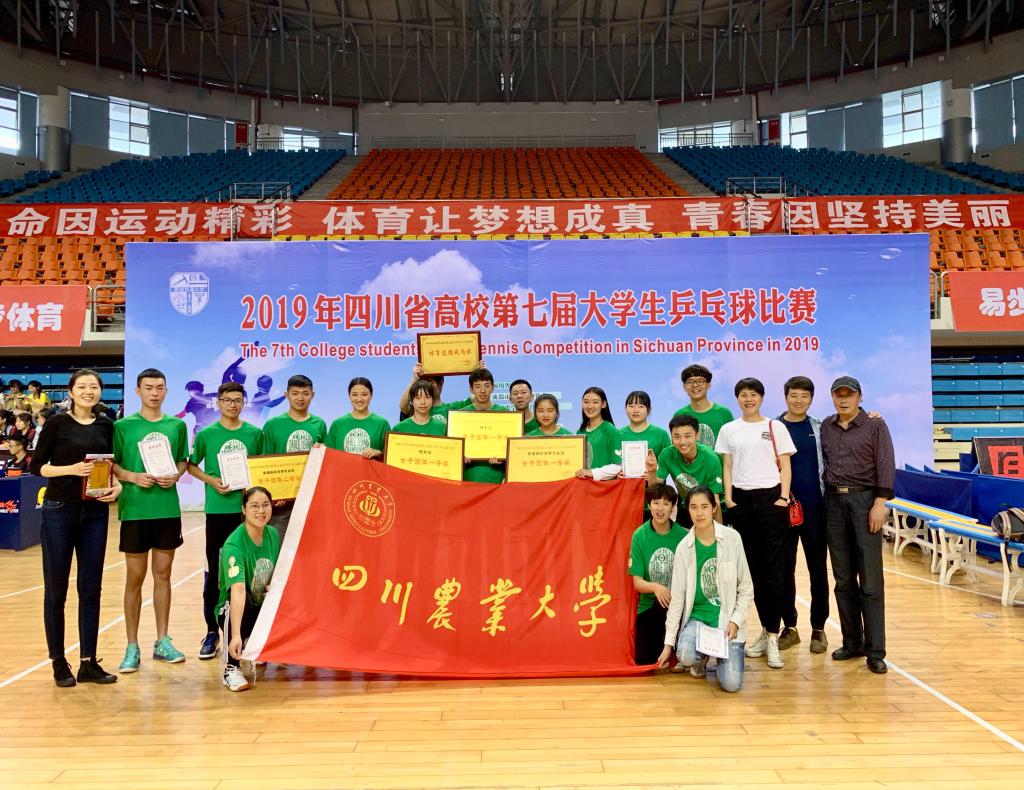 Bevictor伟德欧洲杯