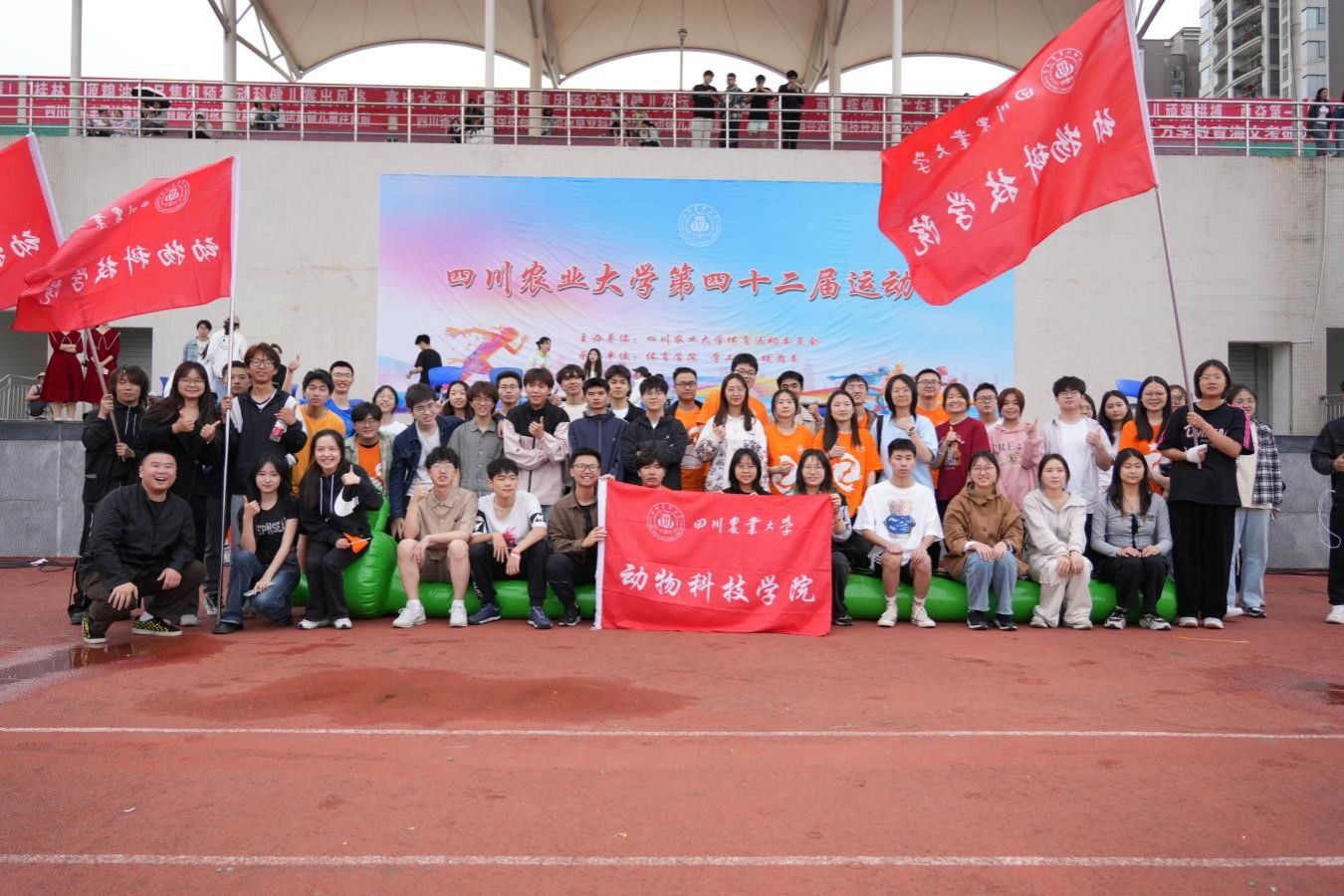 Bevictor伟德欧洲杯