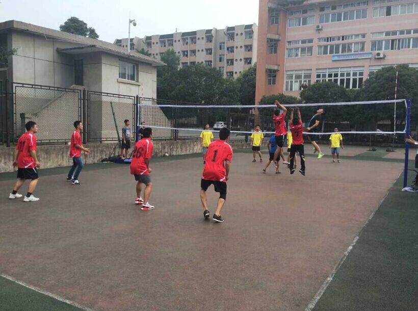 Bevictor伟德欧洲杯图片