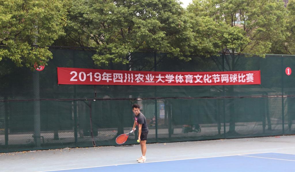 Bevictor伟德指定通道
