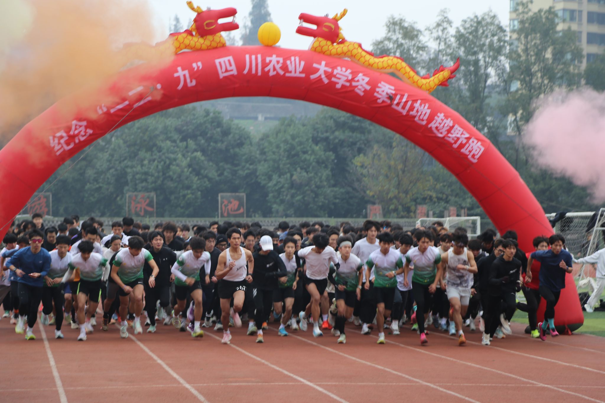 Bevictor伟德指定通道