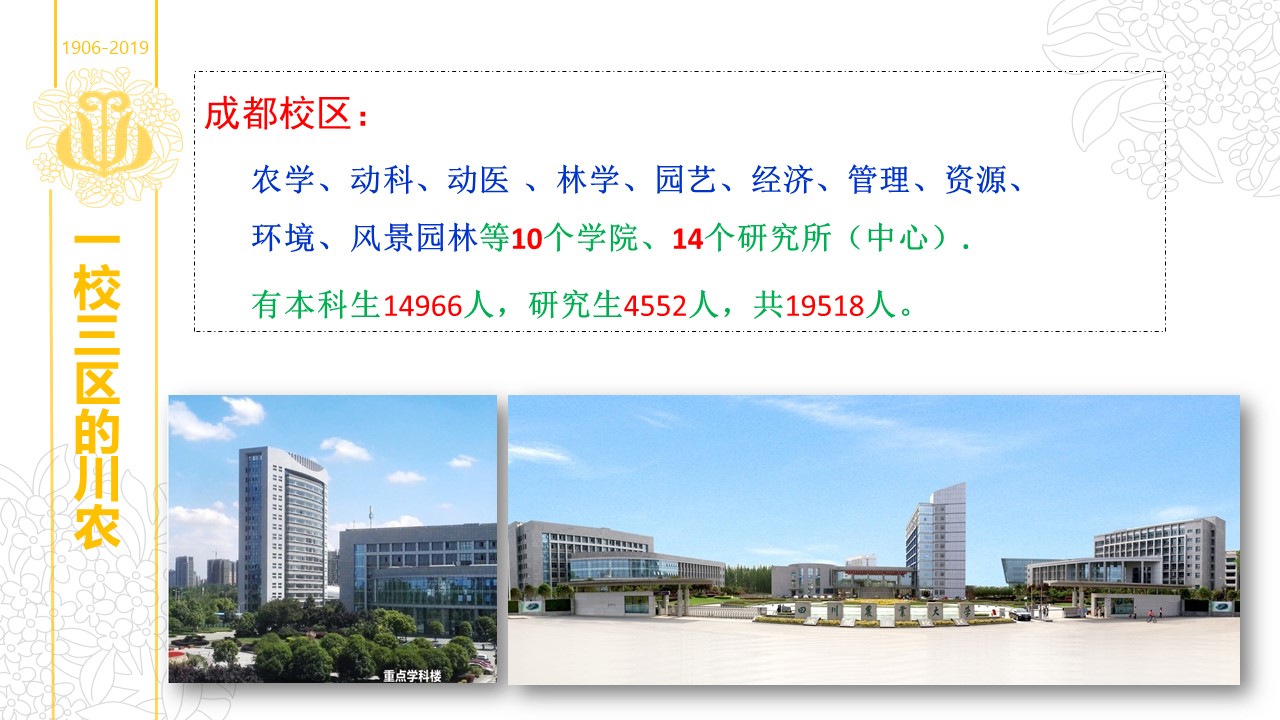 Bevictor伟德备用网址