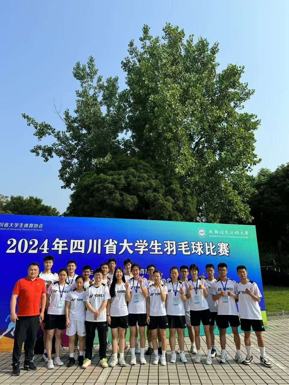 Bevictor伟德客户端
