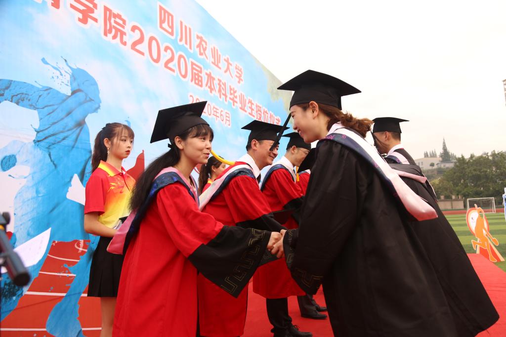 Bevictor伟德赛事资讯平台