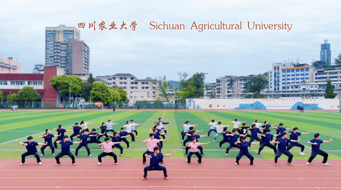 Bevictor伟德APP下载