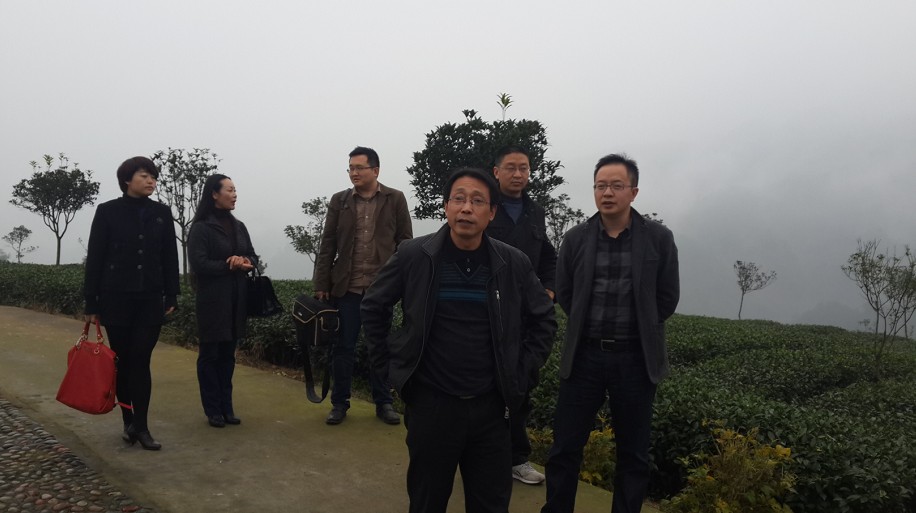 Bevictor伟德赛事快讯图片