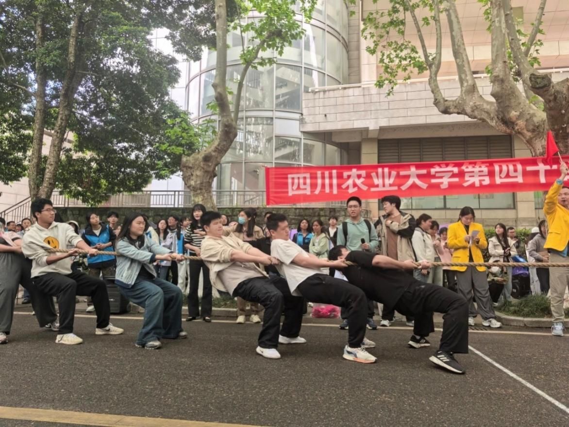 Bevictor伟德备用网址