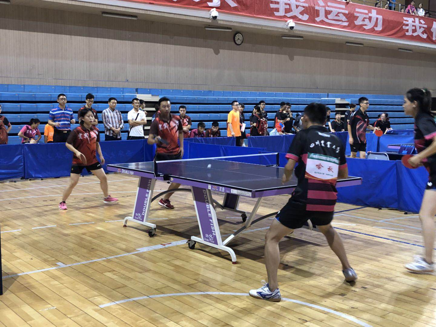 Bevictor伟德欧洲杯图片