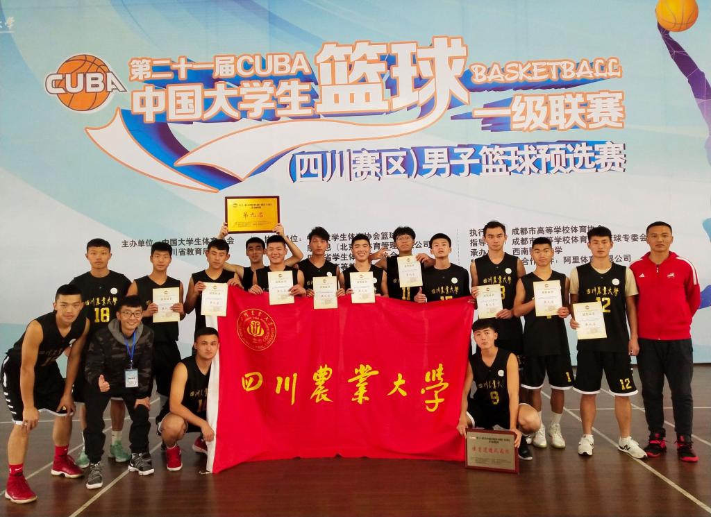 Bevictor伟德官方线路