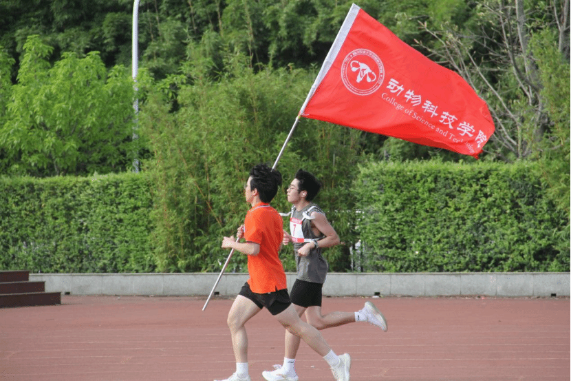 Bevictor伟德指定入口