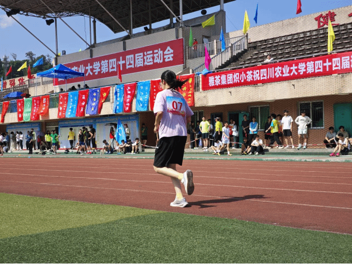 Bevictor伟德备用网址