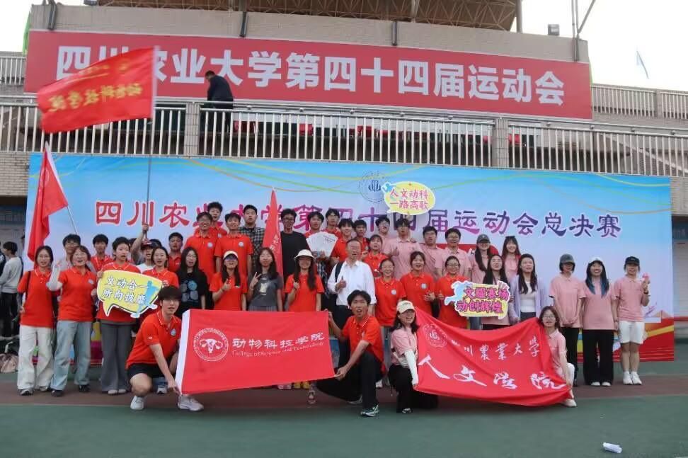 Bevictor伟德备用网址