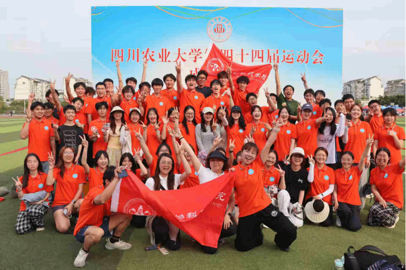 Bevictor伟德欧洲杯