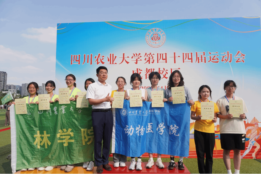 Bevictor伟德官方指定端