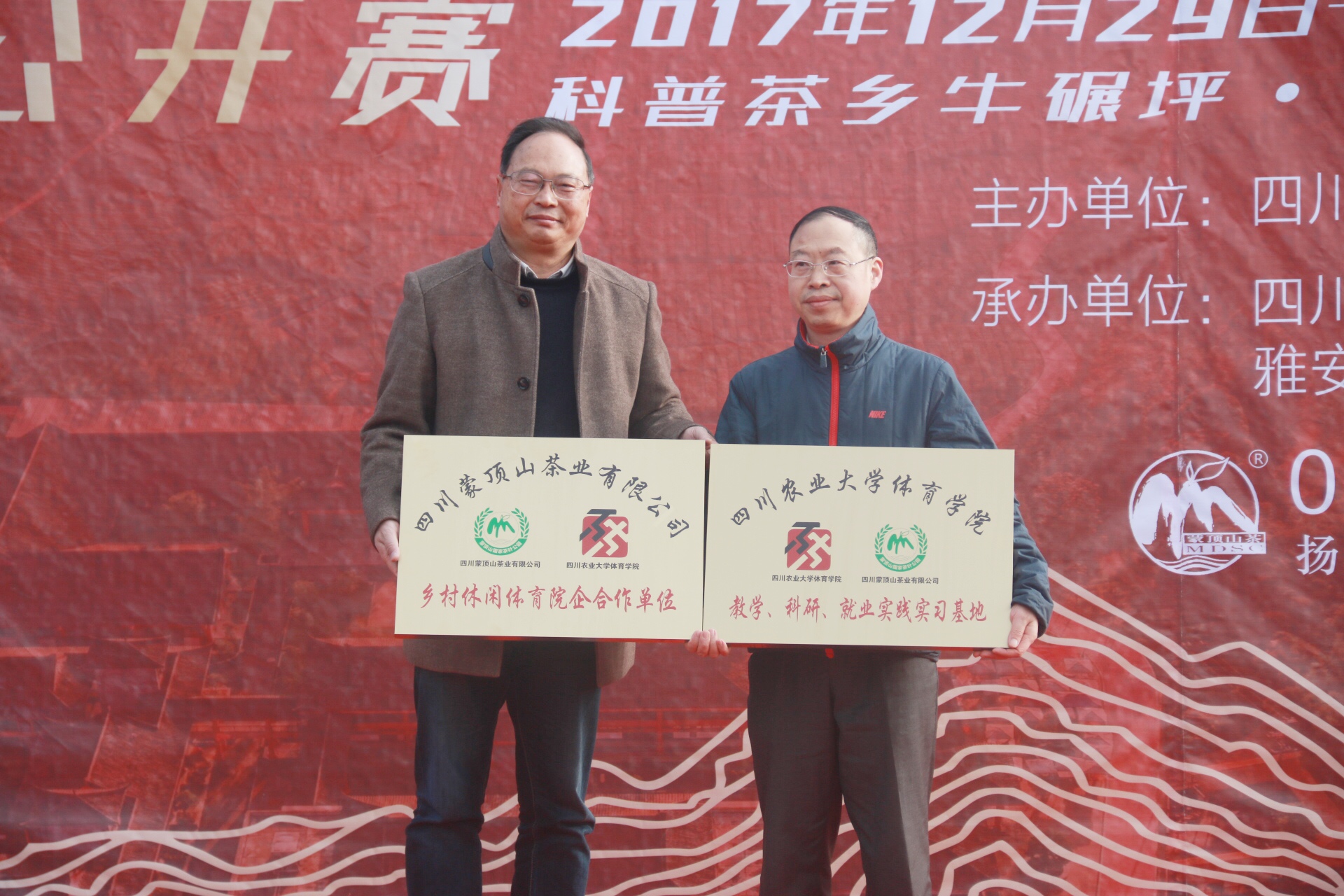 Bevictor伟德欧洲杯图片