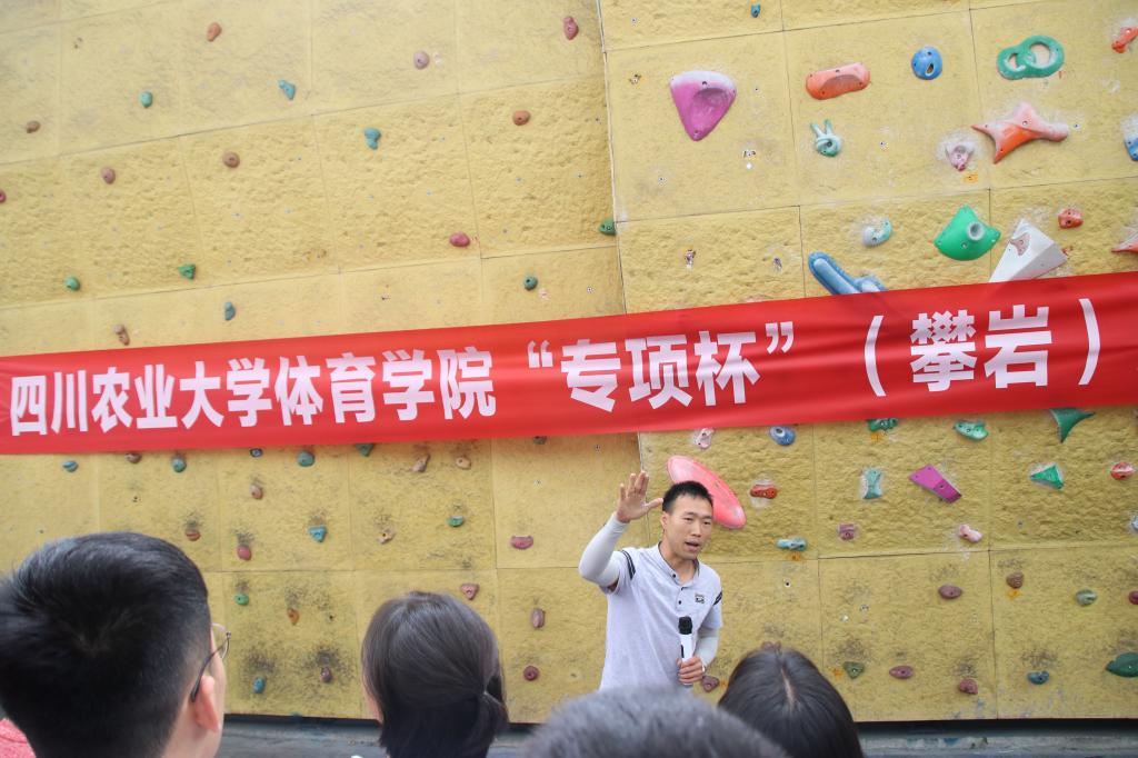Bevictor伟德手机版