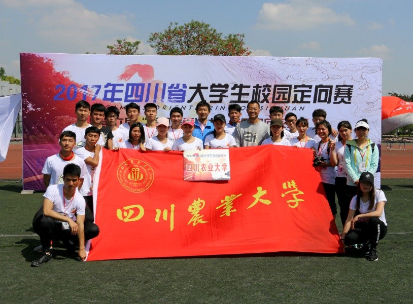 Bevictor伟德指定入口图片