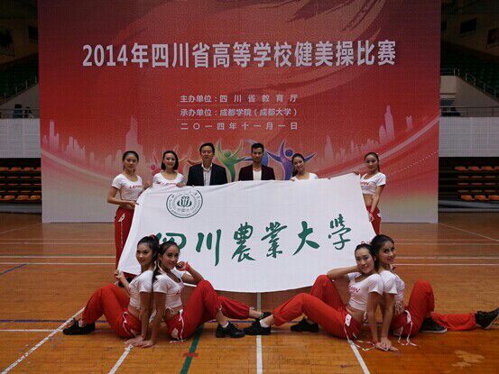 Bevictor伟德欧洲杯图片
