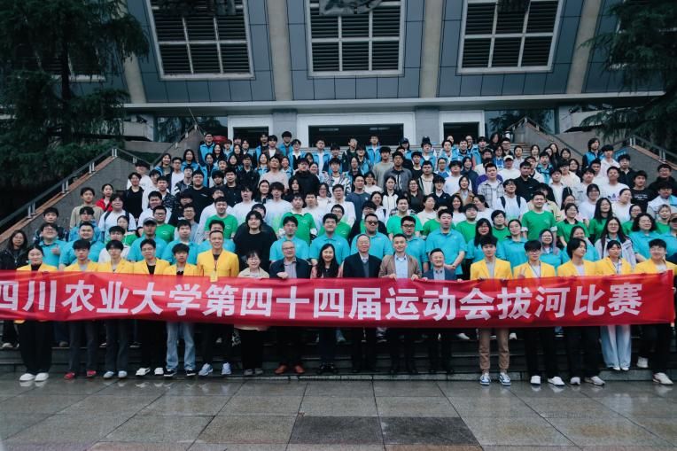 Bevictor伟德指定通道