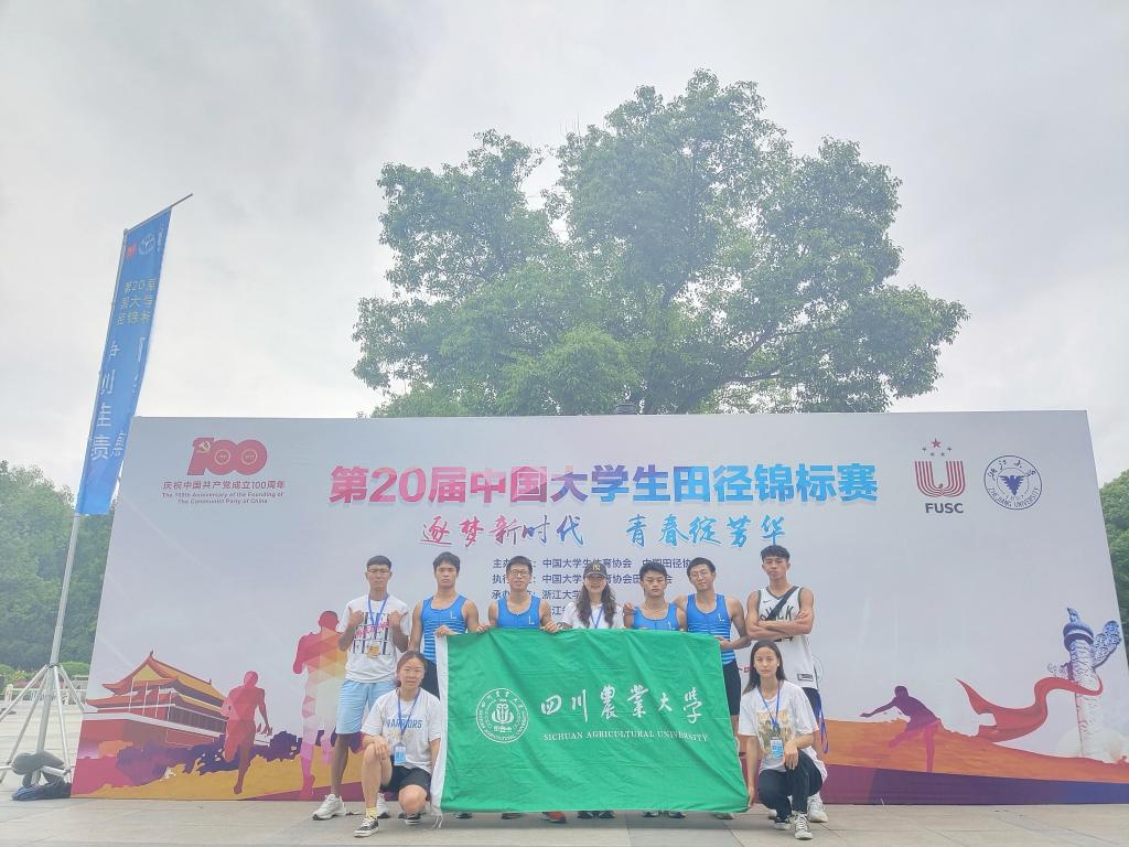 Bevictor伟德欧洲杯