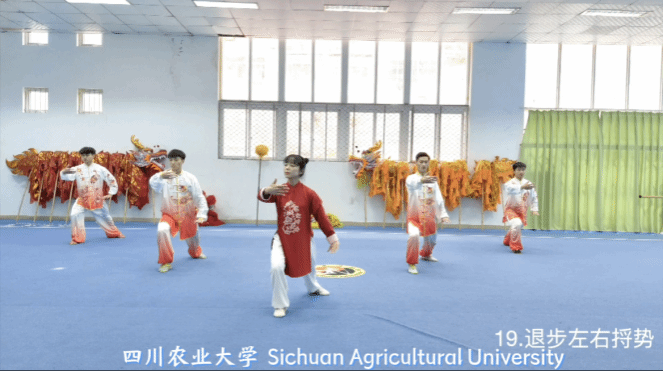 Bevictor伟德安全通道