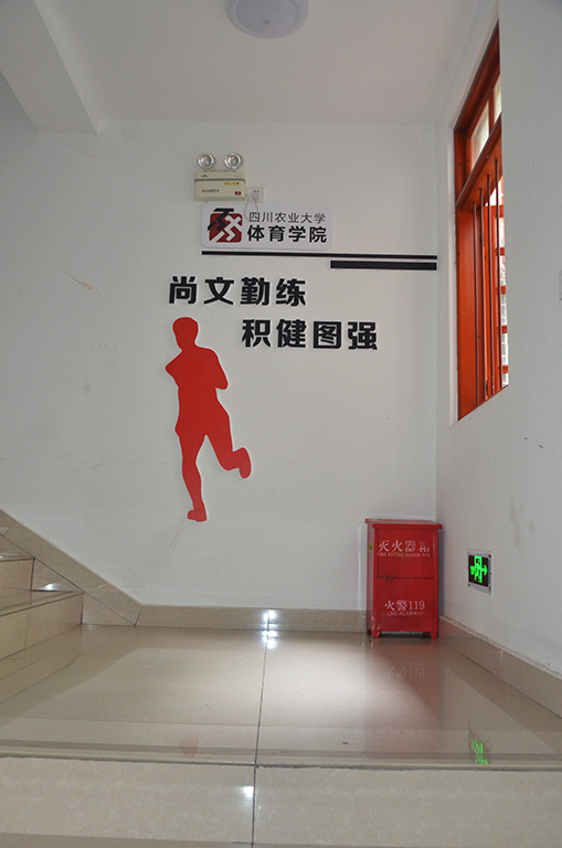 Bevictor伟德安全通道图片