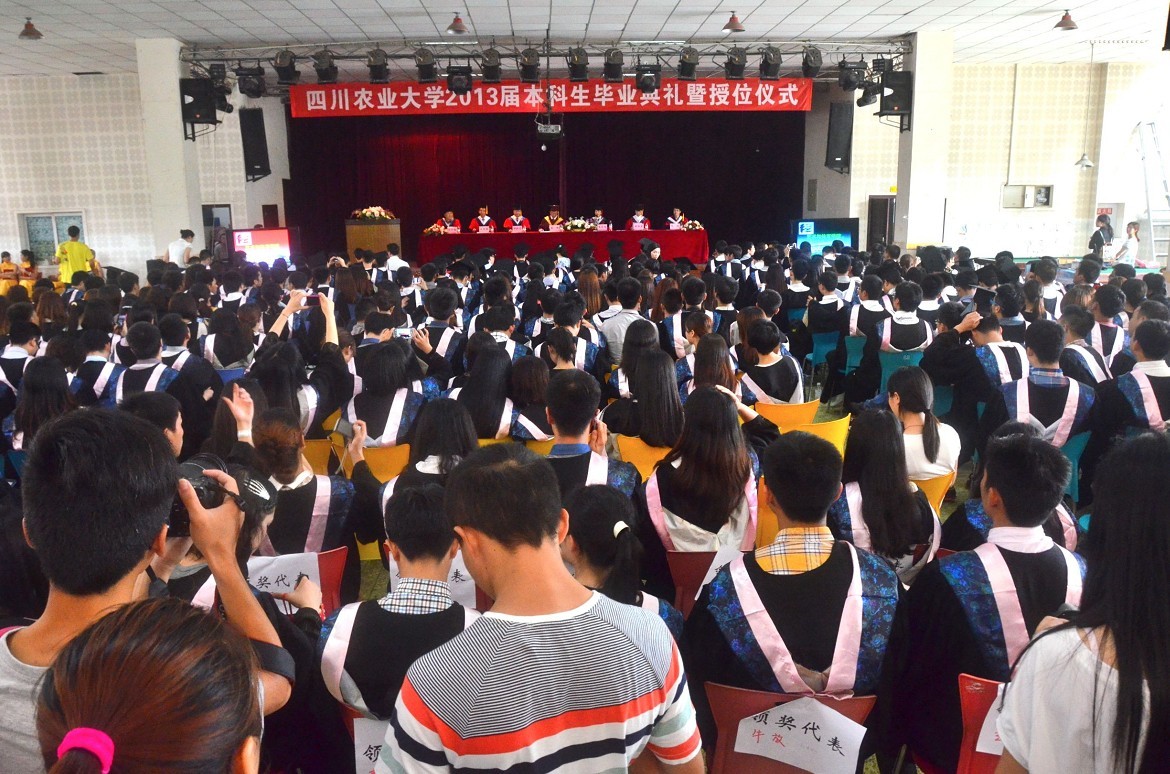 Bevictor伟德备用网址图片