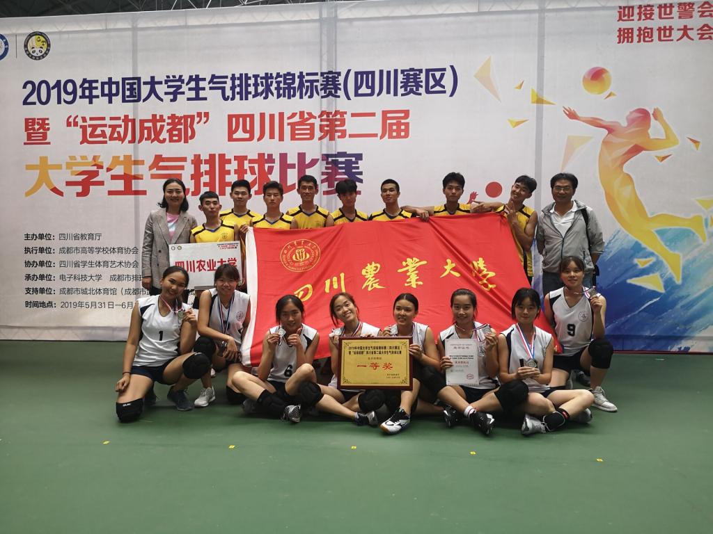 Bevictor伟德欧冠直播