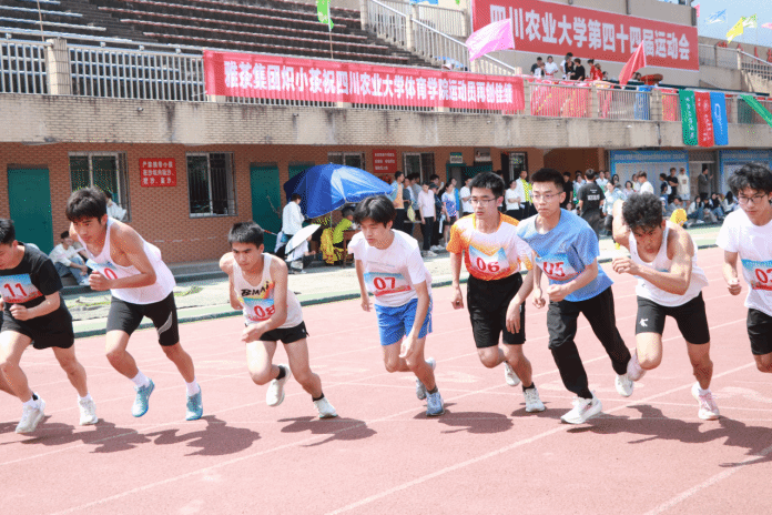 Bevictor伟德官方线路