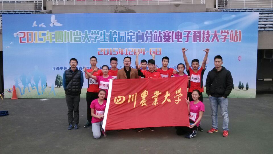 Bevictor伟德欧洲杯图片