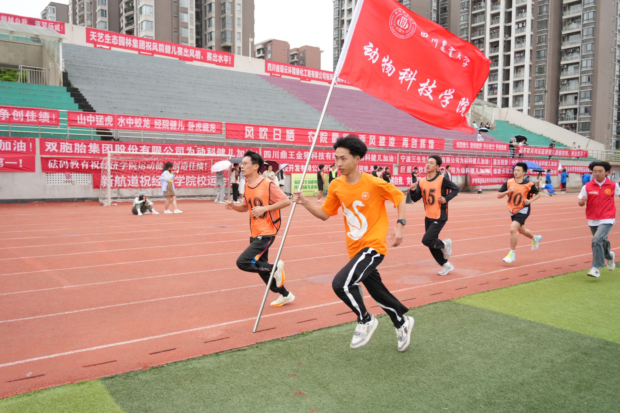 Bevictor伟德备用网址