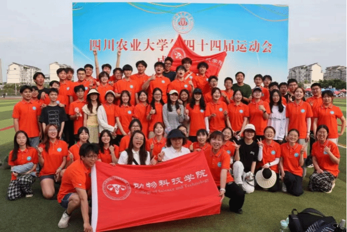 Bevictor伟德核心通道