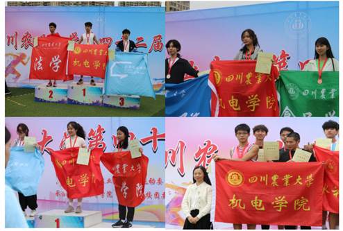 Bevictor伟德手机版