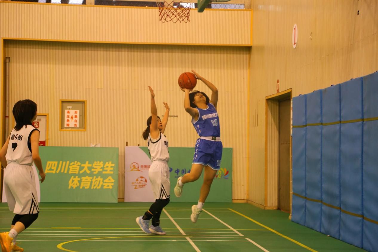 Bevictor伟德平台