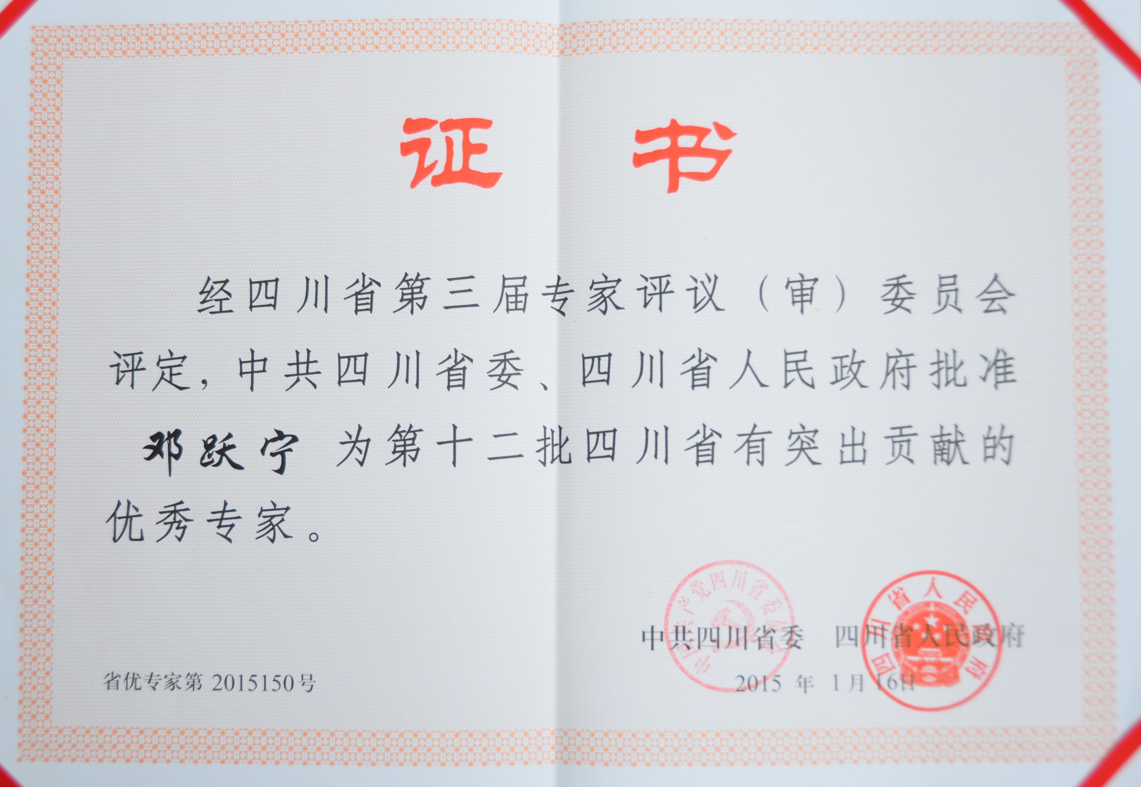 Bevictor伟德欧洲杯图片