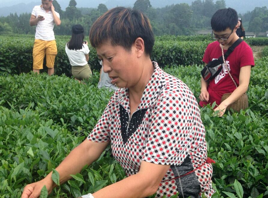 Bevictor伟德欧冠直播图片