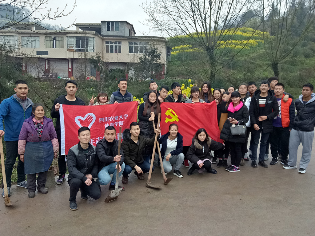 Bevictor伟德指定通道图片
