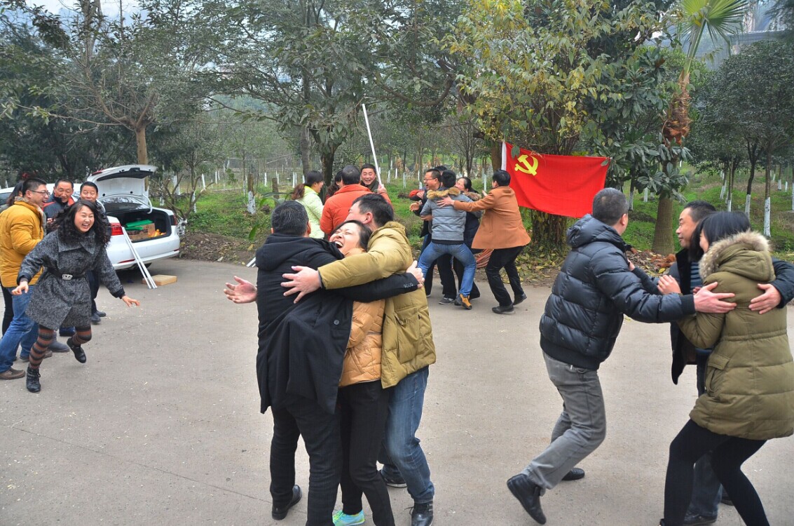 Bevictor伟德欧洲杯图片