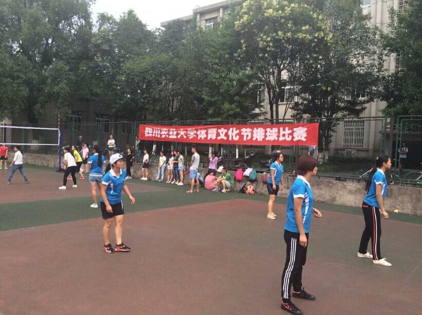 Bevictor伟德核心通道图片