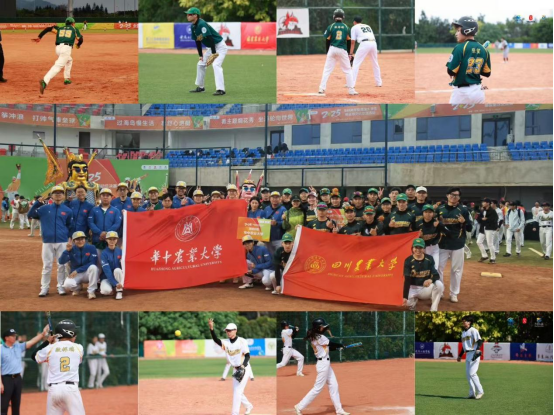 Bevictor伟德欧冠直播