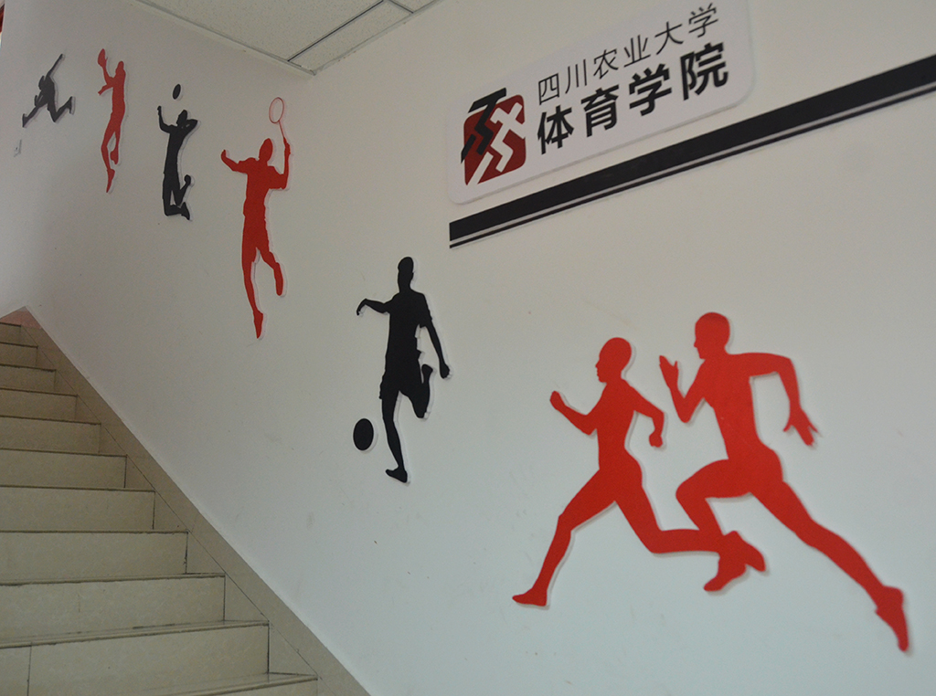 Bevictor伟德官方线路图片