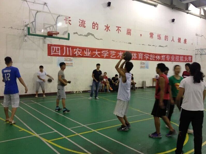 Bevictor伟德欧洲杯图片