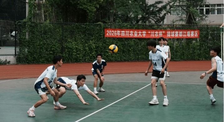 Bevictor伟德核心通道