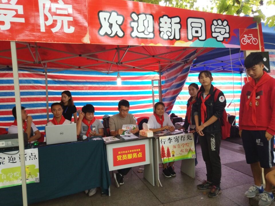 Bevictor伟德互联系统图片